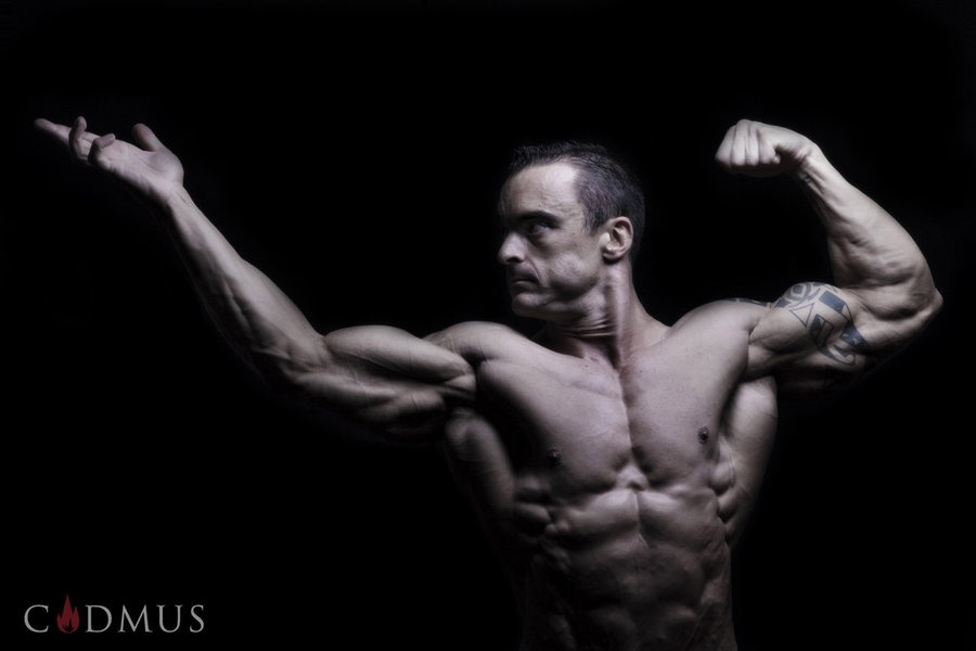 Muscles and their red and white fibres